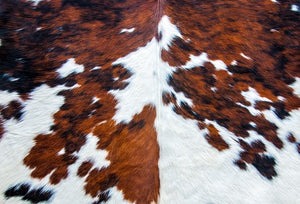 Cowhide by Roycycled Treasures Decoupage Paper #88