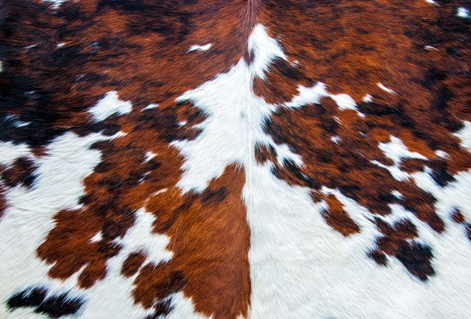 Cowhide by Roycycled Treasures Decoupage Paper #88